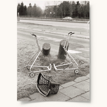 Upload image to gallery &lt;tc&gt;Haugkaup’s Shopping Cart&lt;/tc&gt;
