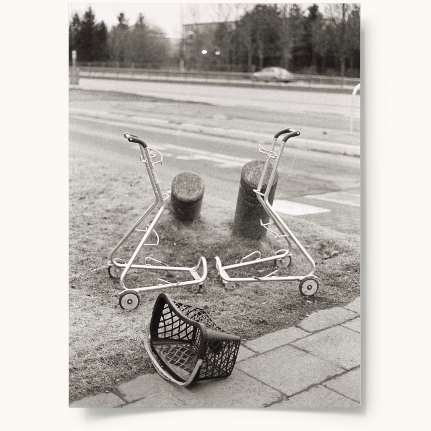 <tc>Haugkaup’s Shopping Cart</tc>