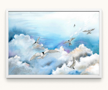 Upload image to gallery &lt;tc&gt;Arctic terns in the air&lt;/tc&gt;
