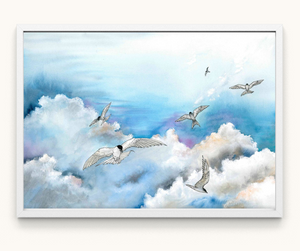 Arctic terns in the air