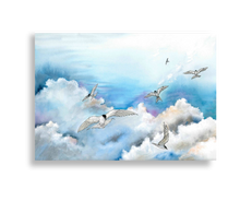 Upload image to gallery Arctic terns in the air
