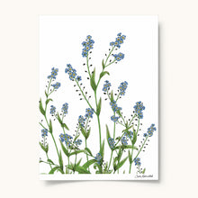 Upload image to gallery Forget Me Not
