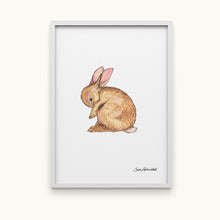 Upload image to gallery Rabbit
