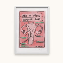 Hlaða mynd inn í gallerí Label the Internal Reproductive Organs
