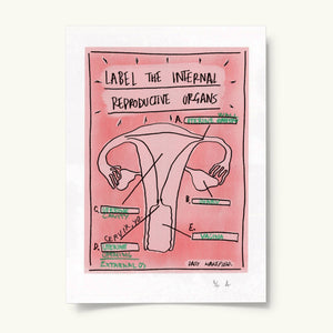 Label the Internal Reproductive Organs