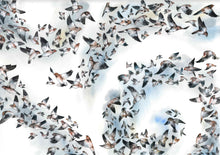 Upload image to gallery Snow buntings
