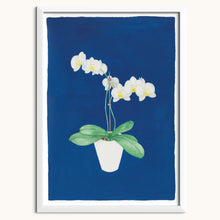 Upload image to gallery &lt;tc&gt;Orchid&lt;/tc&gt;
